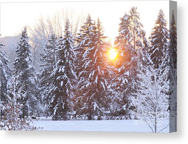 Photography Canvas Print featuring the photograph Wintry Sunset by Larry Ricker