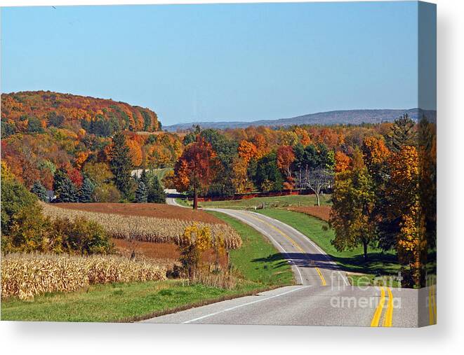 Color Canvas Print featuring the photograph Wisconsin's Fall Color by Joan McArthur
