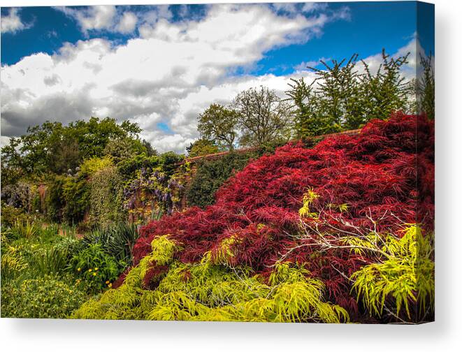 Hdr Canvas Print featuring the photograph Wisley Garden Wall by Ross Henton