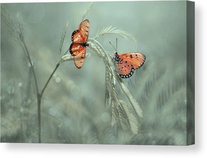 Butterfly Canvas Print featuring the photograph With You by Edy Pamungkas