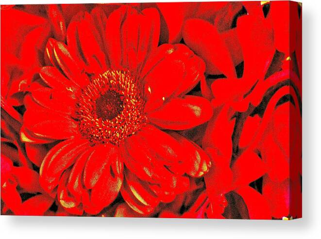 Red Canvas Print featuring the photograph Wow Red by Jody Lane