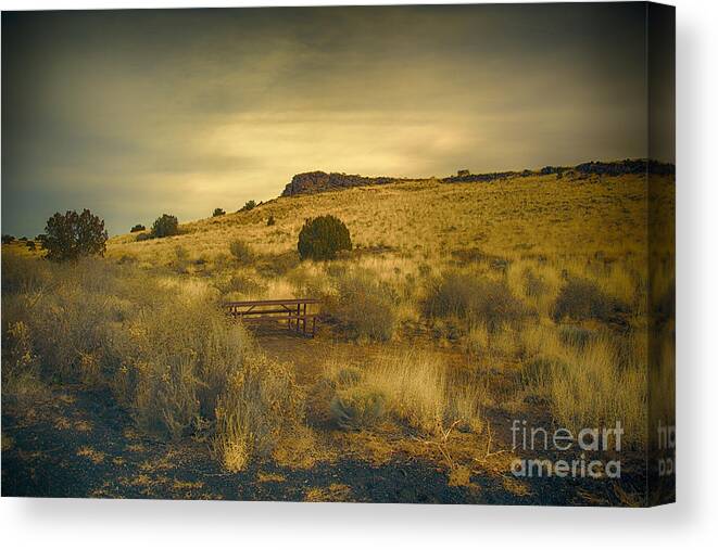 San Francisco Peaks Canvas Print featuring the photograph Wupatki National Monument-Bench by Douglas Barnard