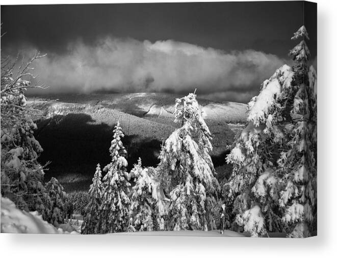 Nature Canvas Print featuring the photograph Wurmberg / Harz by Andreas Levi