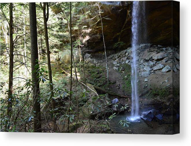 Featured Canvas Print featuring the photograph Yahoo Falls in Spring by Stacie Siemsen