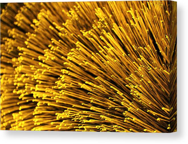 Bristles Canvas Print featuring the photograph Yellow Bristles by Robert Woodward