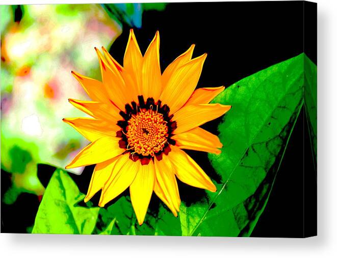 Flower Canvas Print featuring the photograph Yellow Flower by Dr Carolyn Reinhart
