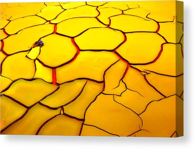 Yellow Canvas Print featuring the photograph Yellow Ground, Red Heart by E. De Juan