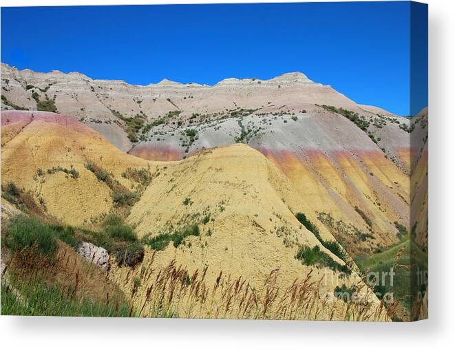 Yellow Mounds Canvas Print featuring the photograph Yellow Mounds Badlands National Park by Jemmy Archer