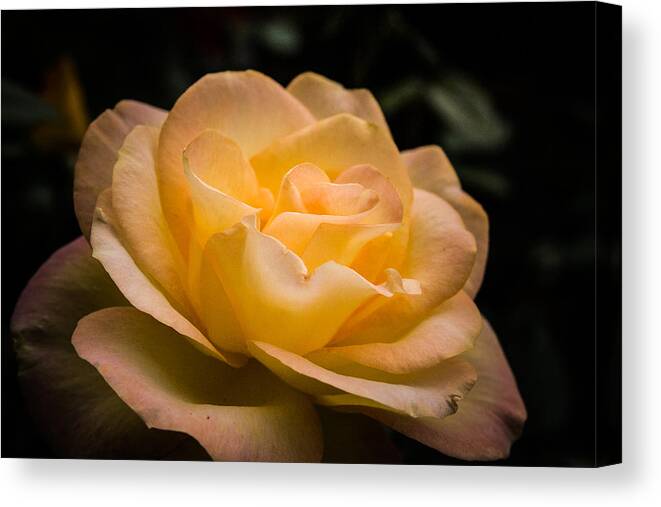 New England Canvas Print featuring the photograph Yellow ray of sunshine by Jeff Folger