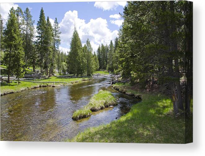 River Canvas Print featuring the photograph Yellowstone River by Lynn Hansen