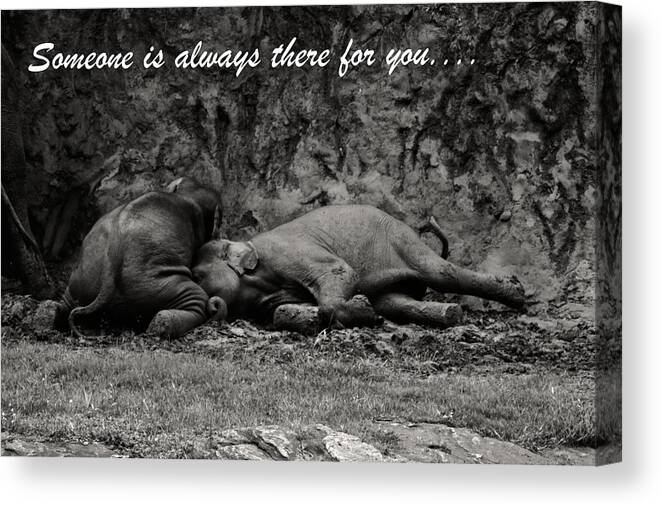 Buddy Canvas Print featuring the photograph You Are My Buddy by Ramabhadran Thirupattur