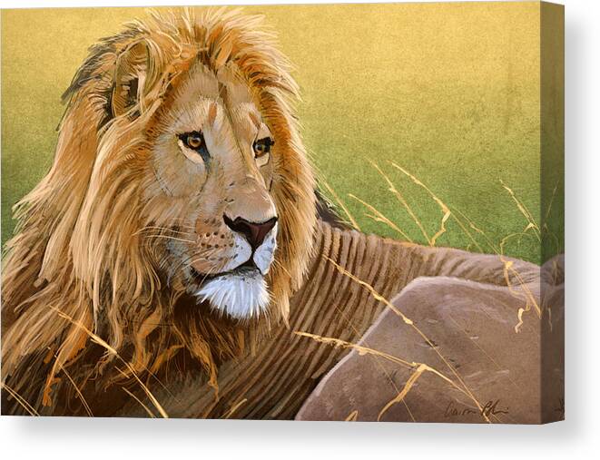 Lion Canvas Print featuring the digital art Young Lion by Aaron Blaise