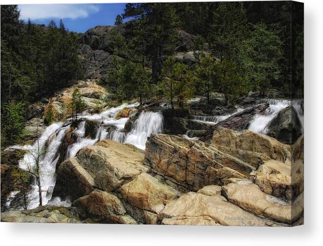 Waterfalls Canvas Print featuring the photograph Yuba River Falls by Donna Blackhall