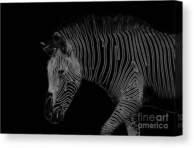 Zebra Canvas Print featuring the digital art Zebra Art by Bianca Nadeau