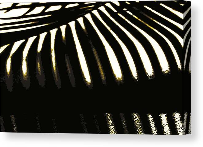 Abstract Canvas Print featuring the photograph Zebra Palm by Edward Shmunes