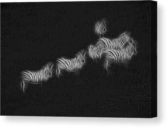 Nature Canvas Print featuring the digital art Zebra Still Life by William Horden