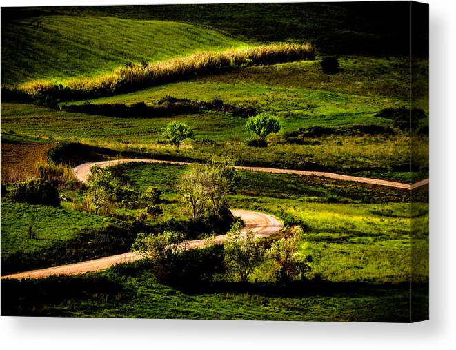 Light Canvas Print featuring the photograph Zigzags Of a Path by Edgar Laureano