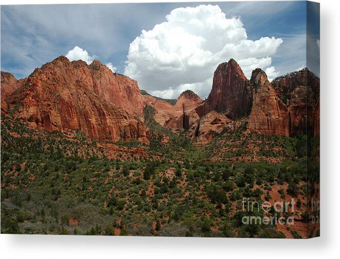 Zion Canvas Print featuring the photograph 512P Zion Area by NightVisions