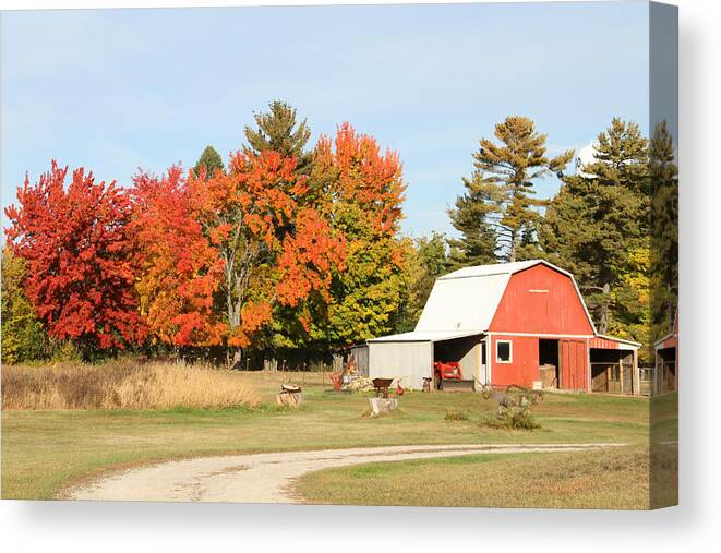 Autumn Canvas Print featuring the photograph 10022012 066 by Mark J Seefeldt