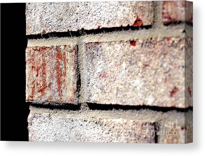 Leaves Canvas Print featuring the photograph Architectural Series #1 by Terry Troupe