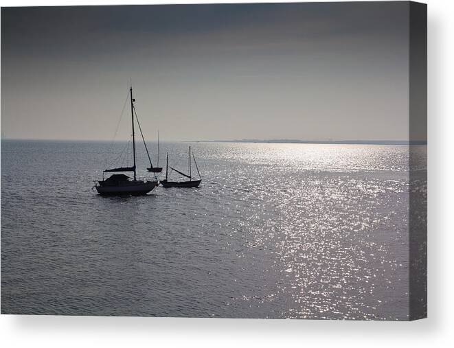 Dinghie Canvas Print featuring the photograph Boats moored off of Leigh Essex #1 by David Pyatt