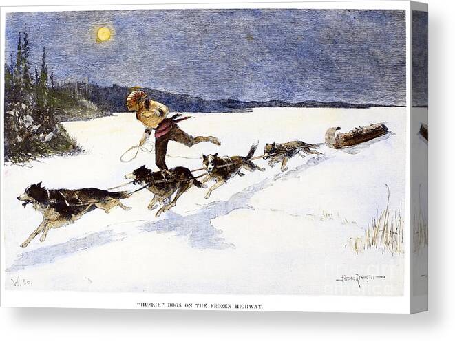 1892 Canvas Print featuring the photograph Canada: Fur Trade, 1892 #1 by Granger