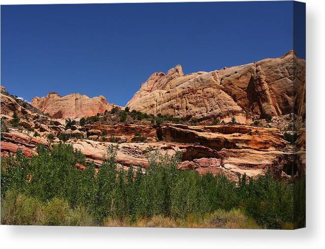 Nature Canvas Print featuring the photograph Captial Reef #1 by Southern Utah Photography