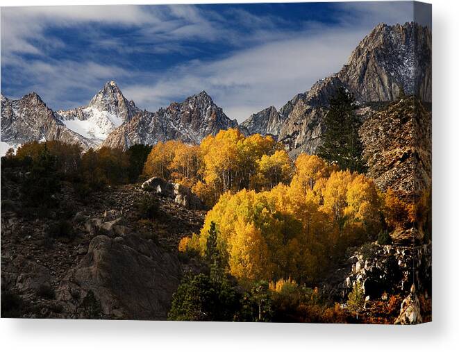Fall Colors Canvas Print featuring the photograph Fall Colors #1 by Joe Palermo