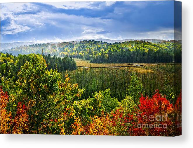 Autumn Canvas Print featuring the photograph Fall forest rain storm 2 by Elena Elisseeva