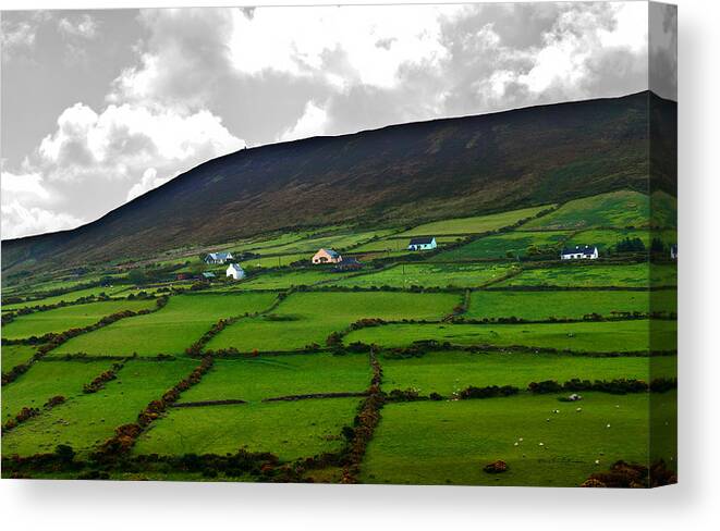 Ireland Canvas Print featuring the photograph Irish Countryside #1 by Ed Peterson