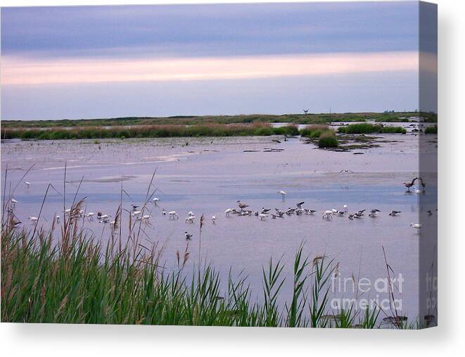 Marsh Canvas Print featuring the photograph Meadows #1 by Nancy Patterson