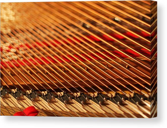 Piano Canvas Print featuring the photograph Piano Strings #1 by Ty Helbach