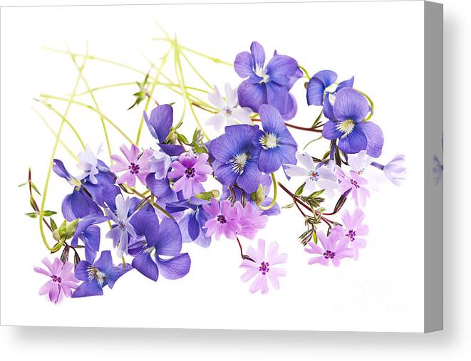 Flower Canvas Print featuring the photograph Spring flowers 2 #1 by Elena Elisseeva