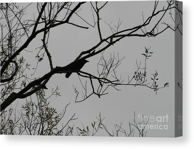 Nature Canvas Print featuring the photograph We Are All One #1 by Valia Bradshaw