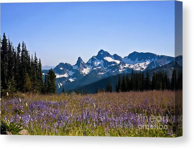 Cascade Canvas Print featuring the photograph Wildflowers in the Cascades #1 by Ronald Lutz