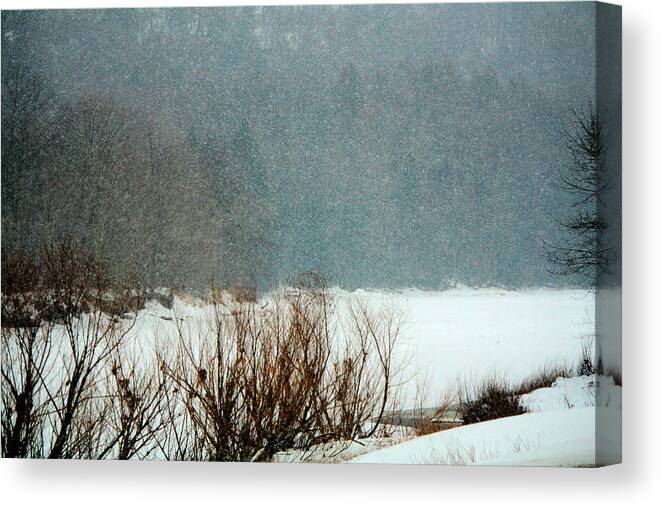Snow Canvas Print featuring the photograph Winter Stream #1 by Darlene Bell
