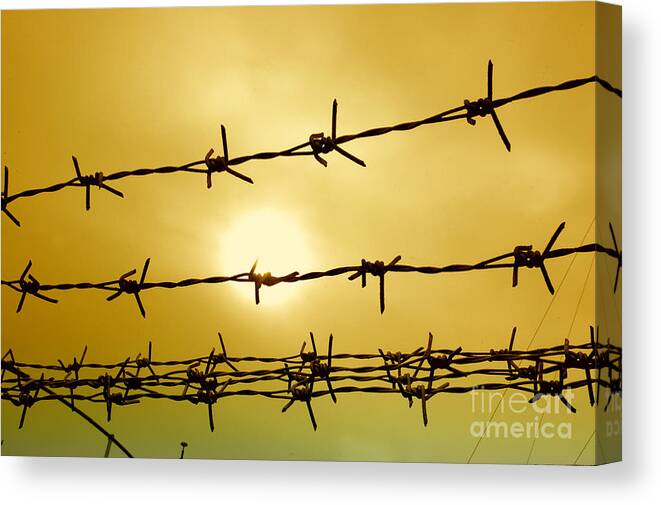 Security Canvas Print featuring the photograph Wire Fence #1 by Antoni Halim