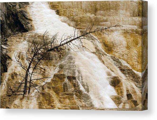 Mammoth Formations Canvas Print featuring the photograph Yellowstone Color #1 by J L Woody Wooden