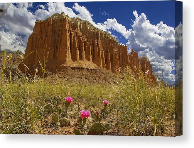 Capitol Reef National Park Canvas Print featuring the photograph Capitol Reef National Park Catherdal Valley #2 by Mark Smith
