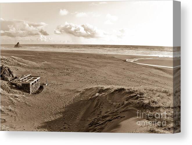 Beach Canvas Print featuring the photograph Karekare beach in New Zealand #2 by Yurix Sardinelly