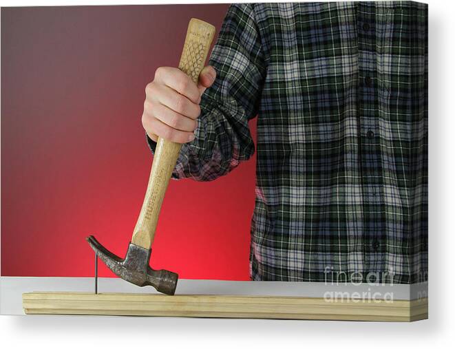 Arm Canvas Print featuring the photograph Claw Hammer And Nail #3 by Photo Researchers