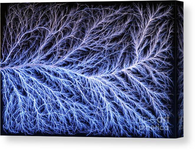 Lichtenberg Figure Canvas Print featuring the photograph Electrical Discharge Lichtenberg Figure #3 by Ted Kinsman