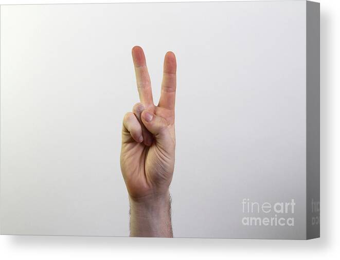 Hand Canvas Print featuring the photograph Peace Sign #3 by Photo Researchers, Inc.