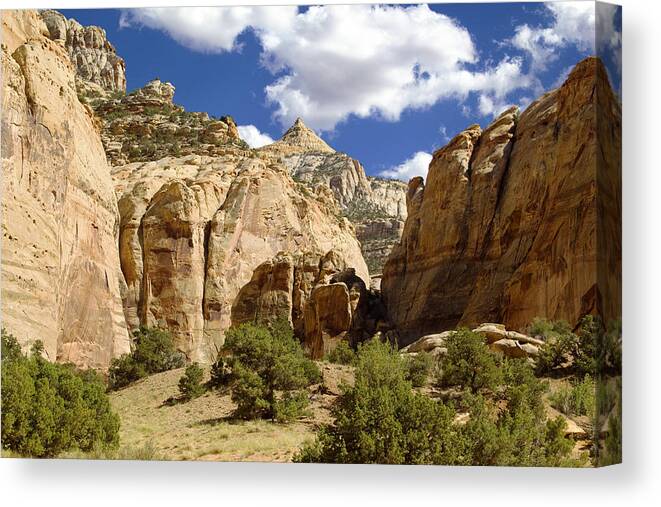 Capitol Reef National Park Canvas Print featuring the photograph Capitol Reef National Park #399 by Mark Smith