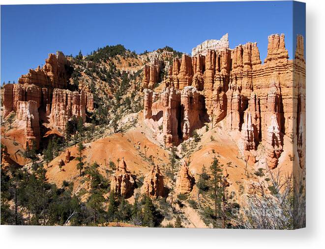 Bryce Canyon National Park Canvas Print featuring the photograph Bryce Canyon Amphitheater #4 by Adam Jewell