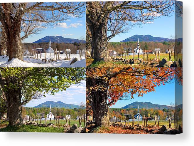 4 Seasons Canvas Print featuring the photograph 4 Seasons Classic Tamworth Trees by Larry Landolfi