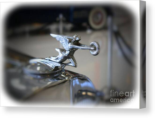 1941 Canvas Print featuring the photograph 41 Packard Hood Ornament by Tommy Anderson