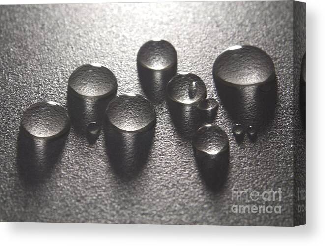 Water Canvas Print featuring the photograph Water drops #7 by Blink Images