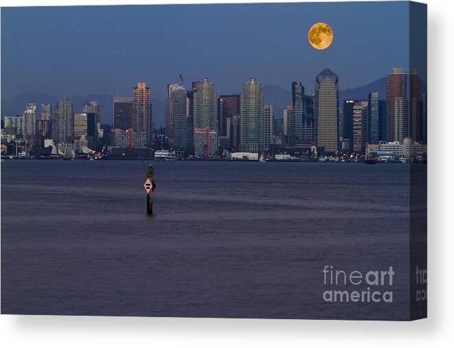 Blue Canvas Print featuring the photograph 8001 by Daniel Knighton