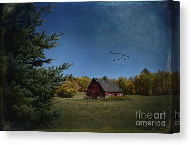 Fall Canvas Print featuring the photograph A Brush With Fall by The Stone Age